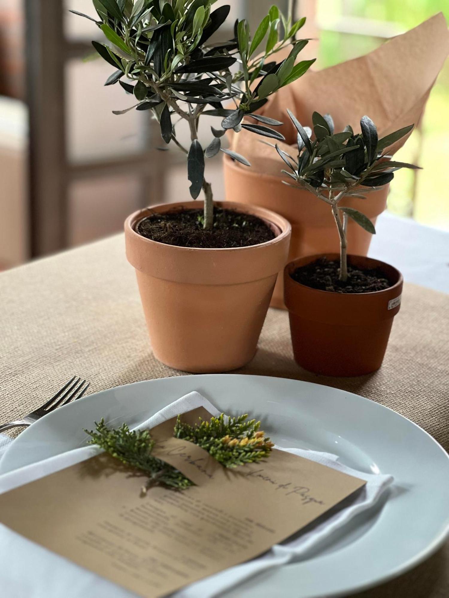 Agriturismo La Cerbana Palaia Dış mekan fotoğraf